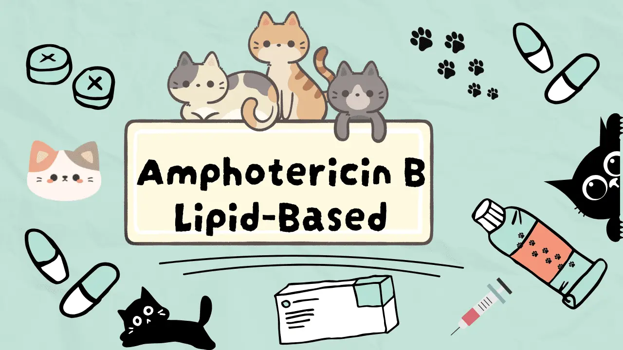 دواء آمن لعلاج فطريات القطط