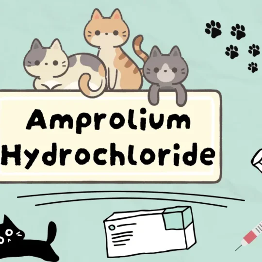 دواء لعلاج ديدان القطط