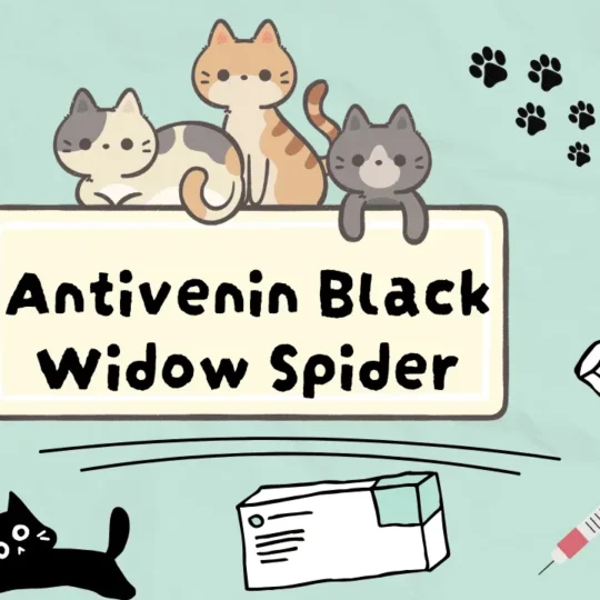 انتيفينين للقطط