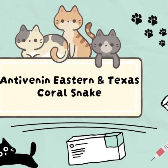 مضاد سمّ أفعى الكورال للقطط