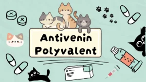 انتيفينين بولي فالينت للقطط