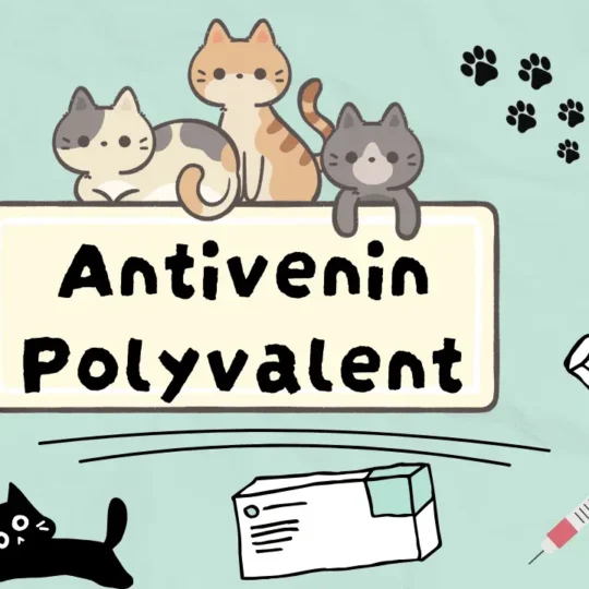 انتيفينين بولي فالينت للقطط