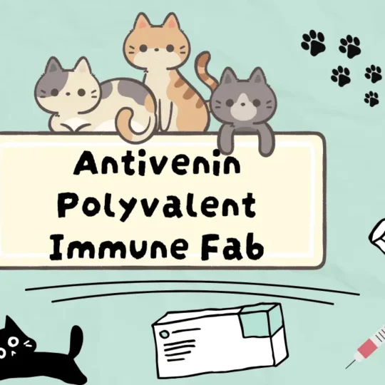 دواء لعلاج لدغات الافاعي للقطط