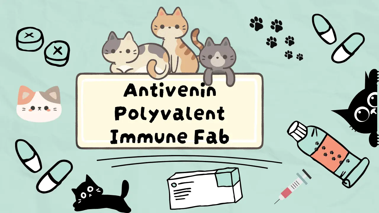 دواء لعلاج لدغات الافاعي للقطط