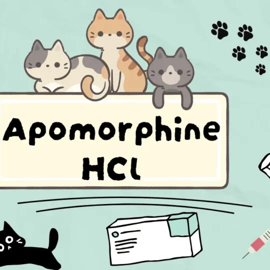 دواء لعلاج حالات التسمم عند القطط