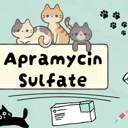 دواء لعلاج الإسهالات البكتيرية عند القطط