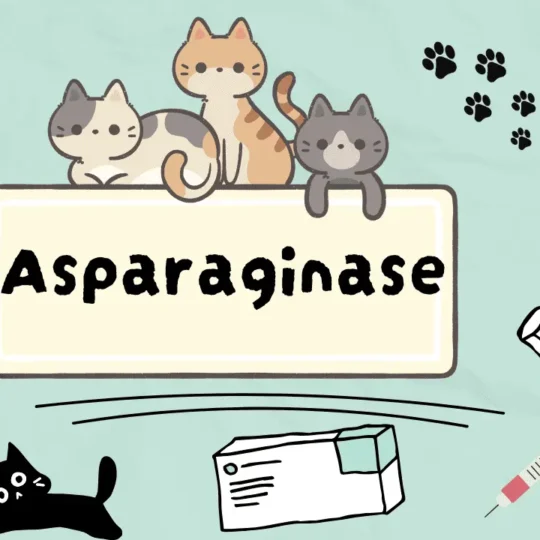 دواء لعلاج سرطان القطط