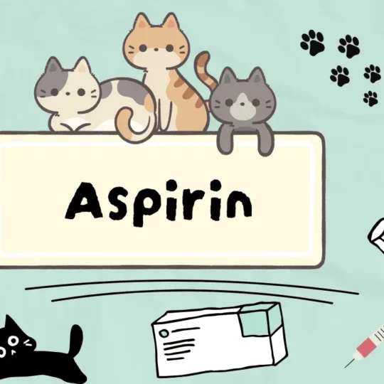 الأسبرين للقطط