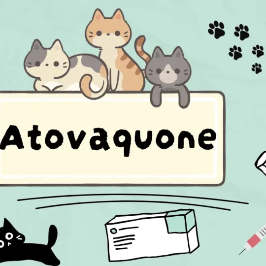 دواء لعلاج الطفيليات الدموية عند القطط