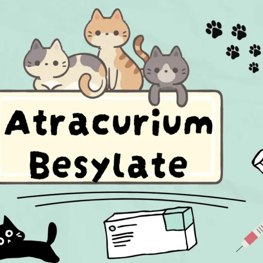 مرخي عضلي للقطط