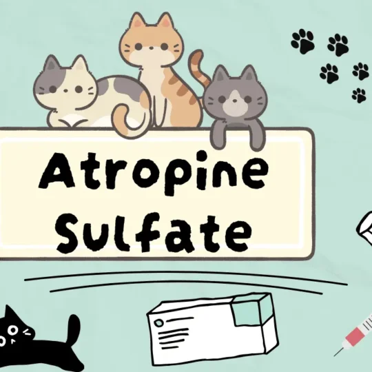 دواء لعلاج مشاكل العين عند القطط