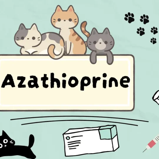 دواء لعلاج الأمراض المناعية الذاتية للقطط