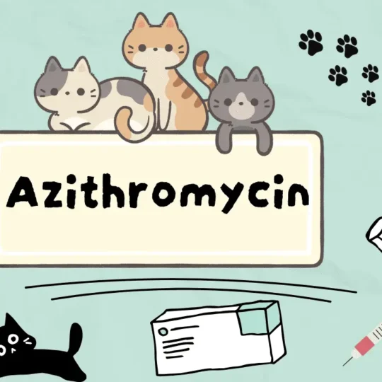 دواء لعلاج بكتريا الجهاز التنفسي للقطط