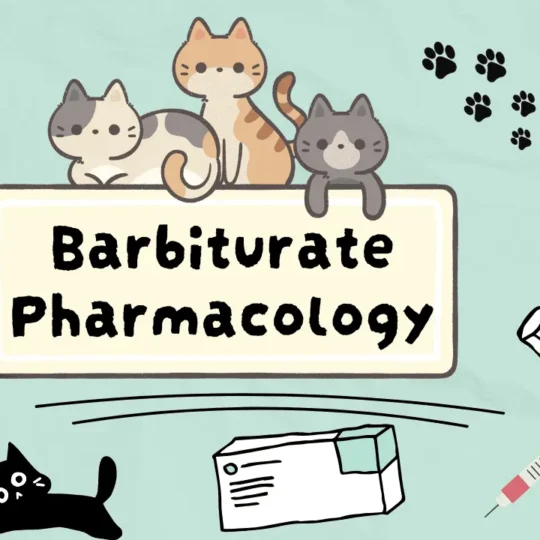 اهم ادوية التخدير للقطط