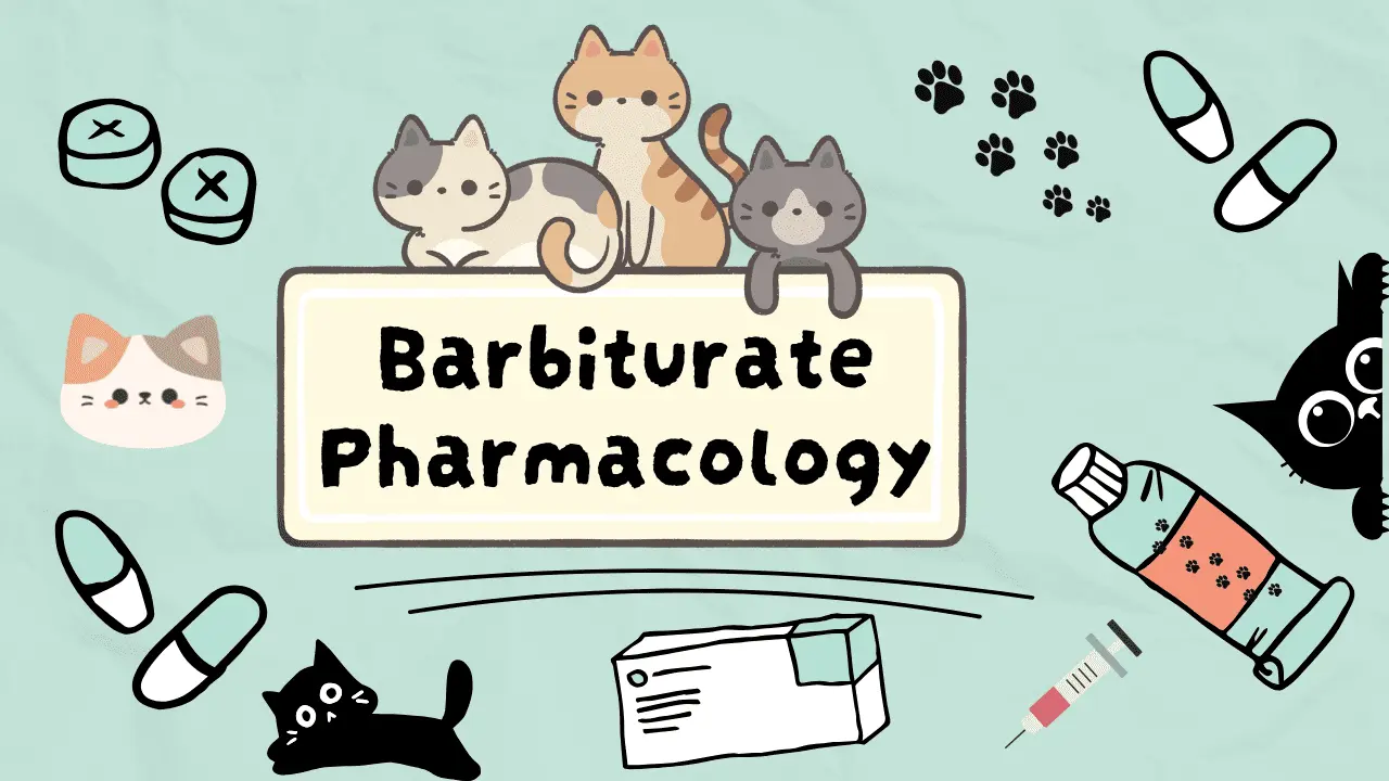 اهم ادوية التخدير للقطط