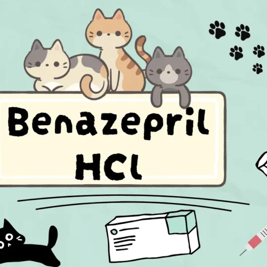 دواء لعلاج مشاكل القلب والكلى