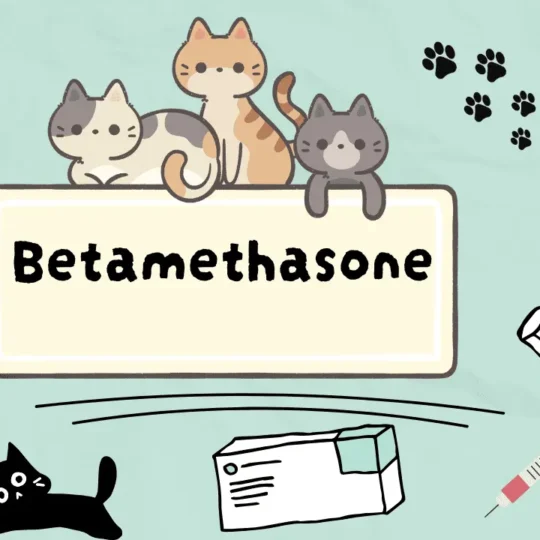 دواء لعلاج الأمراض الجلدية للقطط