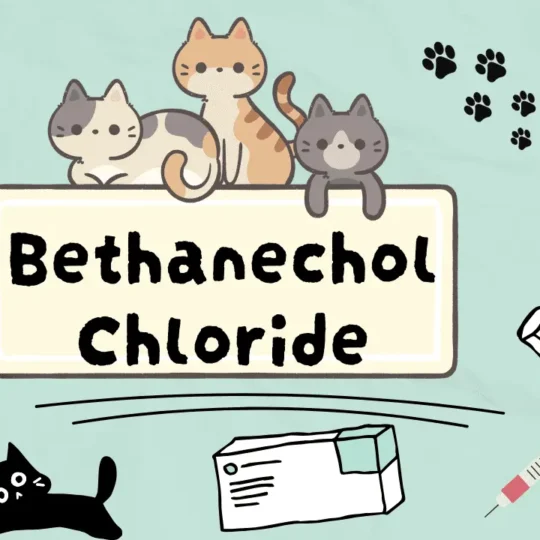 دواء لعلاج احتباس البول للقطط