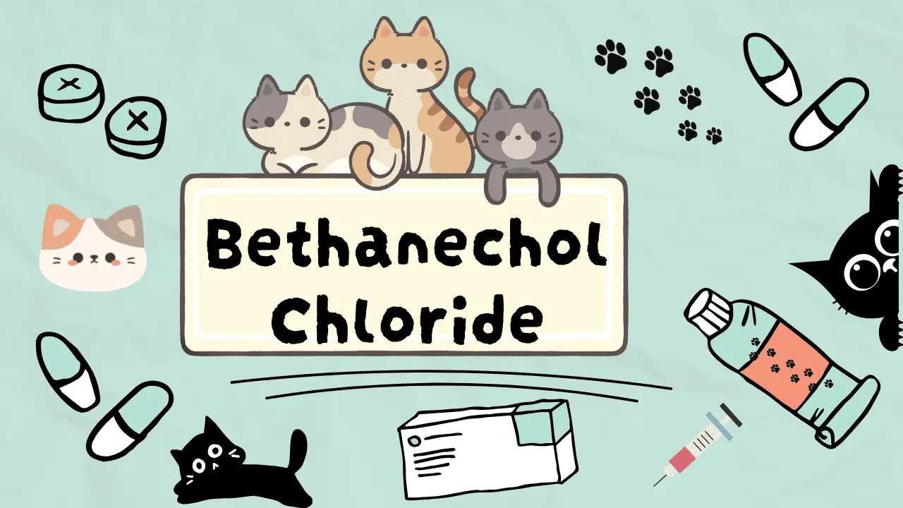 دواء لعلاج احتباس البول للقطط