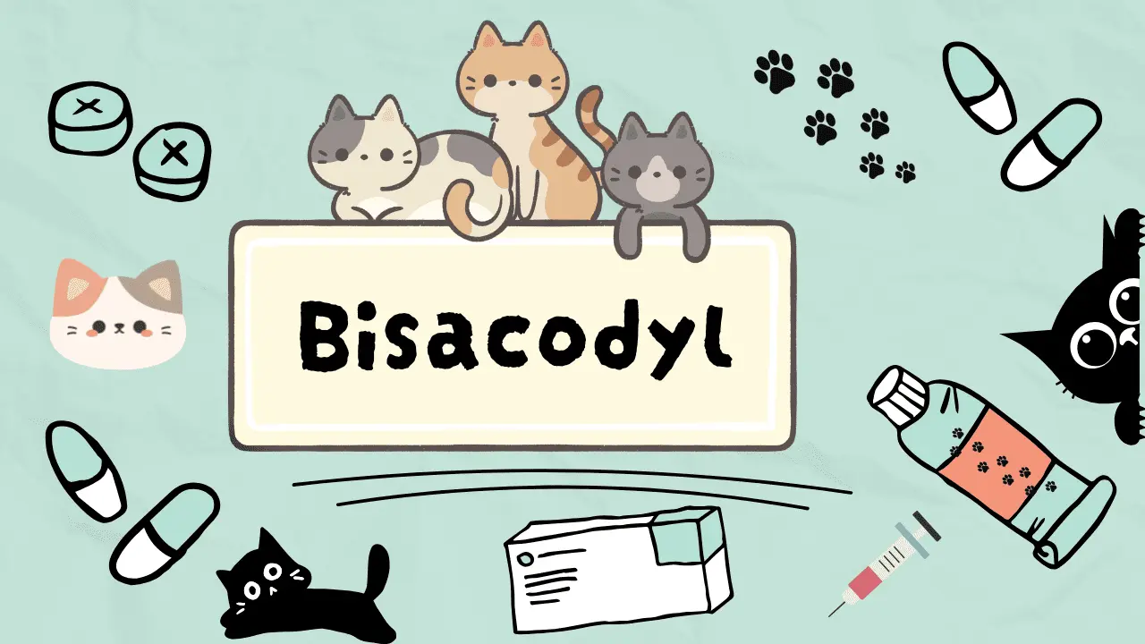 دواء لعلاج امساك القطط