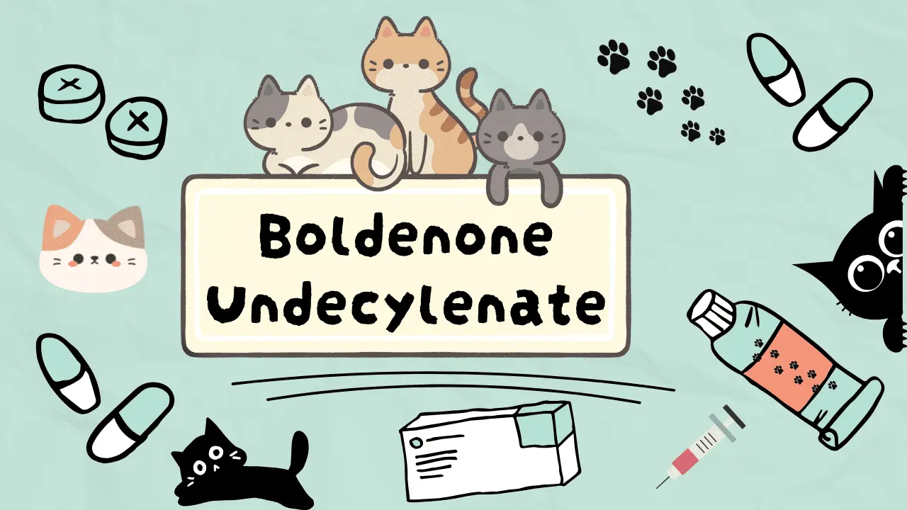 دواء لزيادة شهية القطط