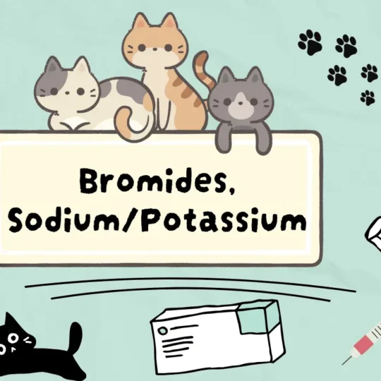 البروميدات للقطط