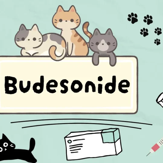 دواء لعلاج التهابات الجهاز الهضمي للقطط