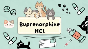 دواء تخفيف الم القطط