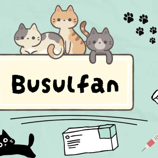 دواء لعلاج امراض الدم عند القطط