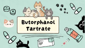 أهم مسكنات الألم للقطط