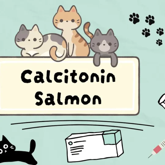 دواء لخفض كالسيوم دم القطط