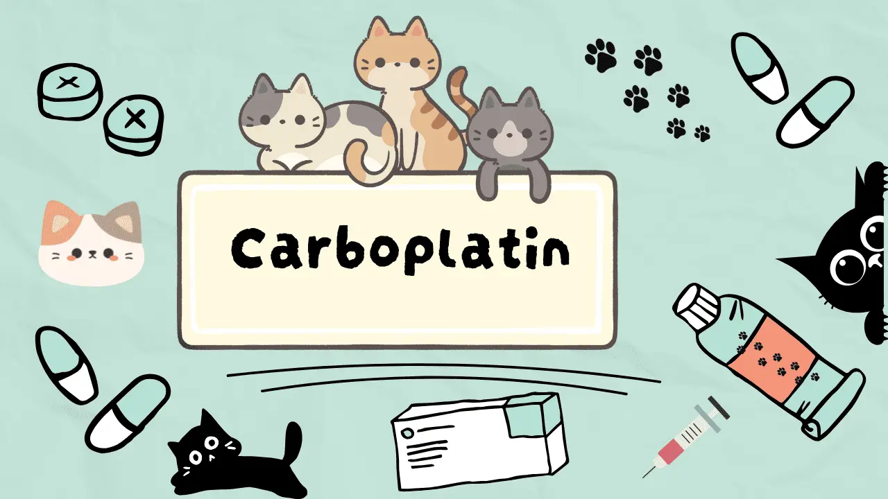 دواء لعلاج سرطانات القطط