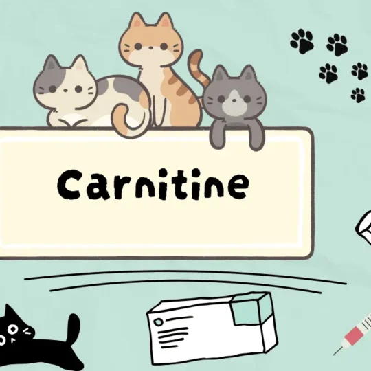 مكمل غذائي دوائي للقطط