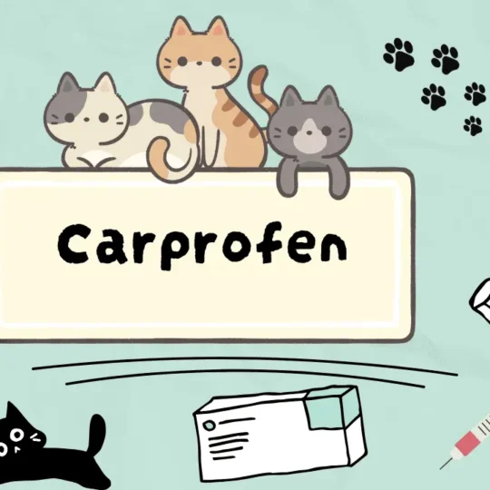 كاربروفن للقطط