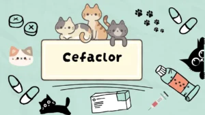 دواء للقضاء على البكتيريا المقاومة