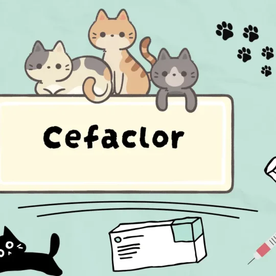 دواء للقضاء على البكتيريا المقاومة