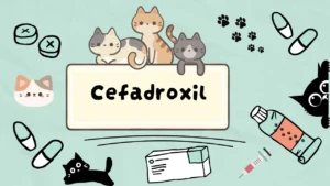 دواء لعلاج الجروح والخراجات