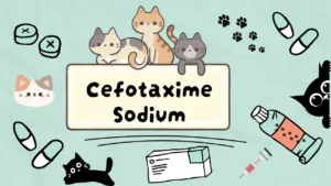 سيفوتاكسيم صوديوم للقطط