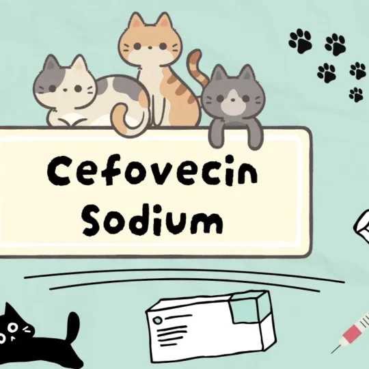سيفوفيسين صوديوم للقطط