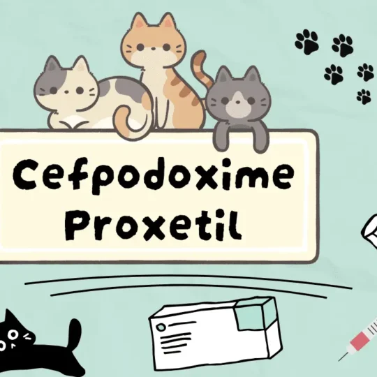 سيفبودوكسيم بروكسيتيل للقطط