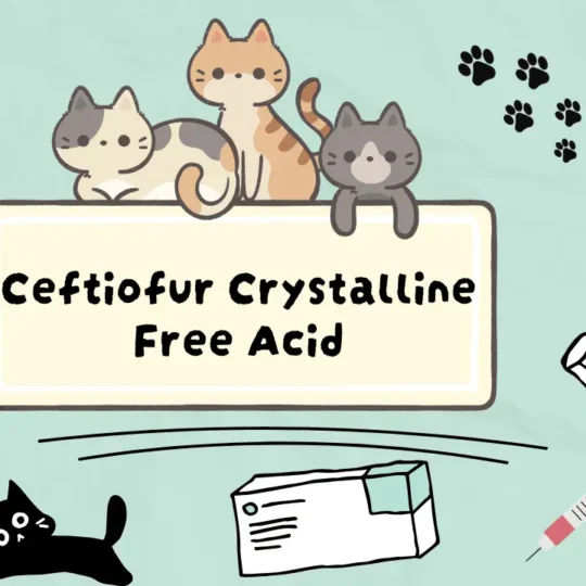 السيفتيوفور للقطط