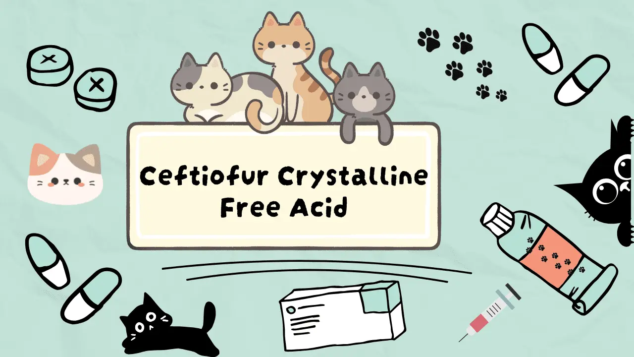 السيفتيوفور للقطط