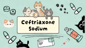 سيفترياكسون صوديوم للقطط