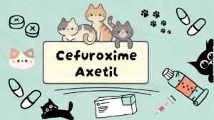سيفوروكسيم أكسيتيل للقطط