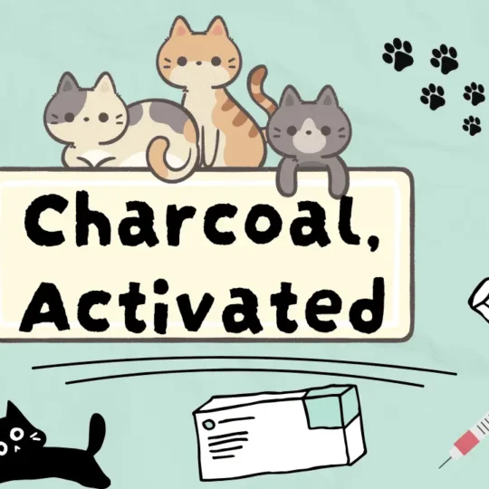 الفحم النشط للقطط