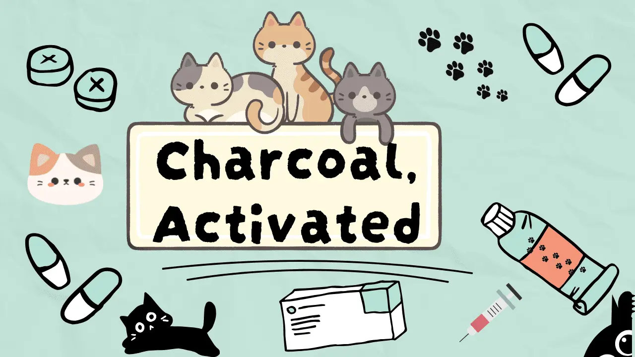 الفحم النشط للقطط