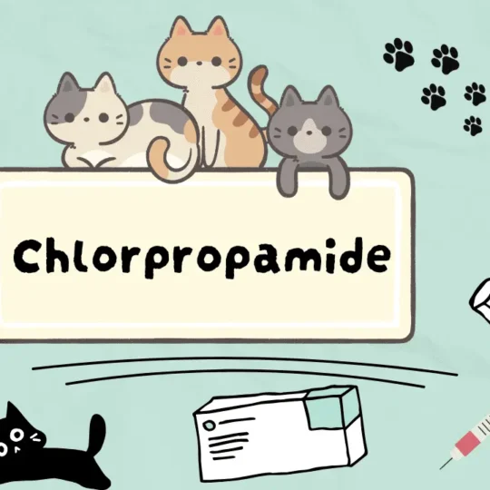 دواء لعلاج السكري الكاذب عند القطط