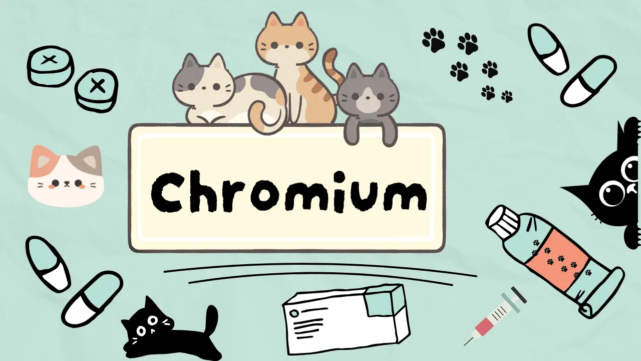 مكمل غذائي لعلاج السمنة عند القطط