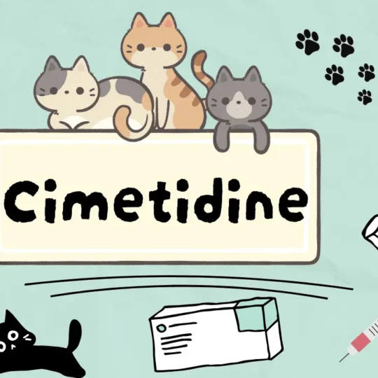 دواء لمشاكل المعدة عند القطط