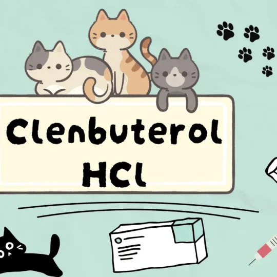 كلينبوتيرول هيدروكلوريد للقطط